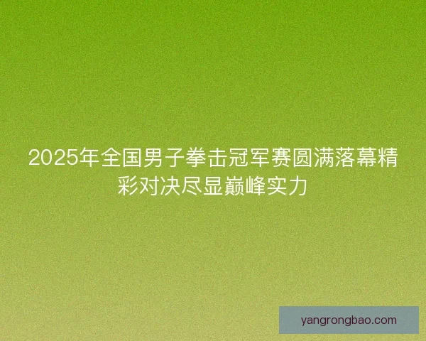 2025年全国男子拳击冠军赛圆满落幕精彩对决尽显巅峰实力